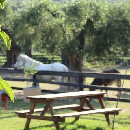 Villa Honigtal Farmland Agios Georgios Pagon Exterior foto