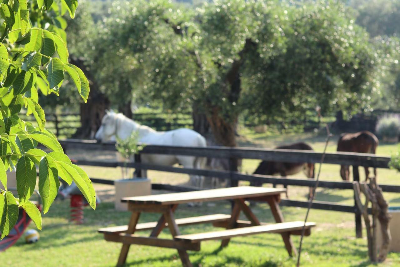 Villa Honigtal Farmland Agios Georgios Pagon Exterior foto